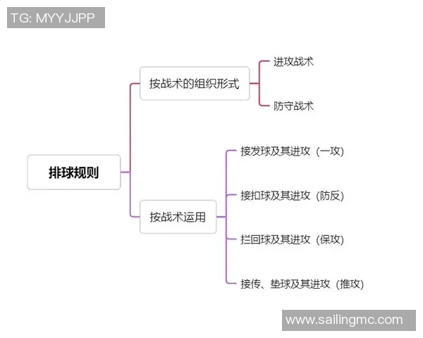 深圳排球队的整体压制解析与战术深度剖析