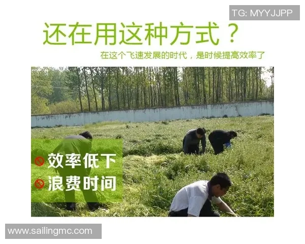 足球明星割草事件背后的故事与真相揭秘